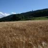 IMG_3807-Copier-