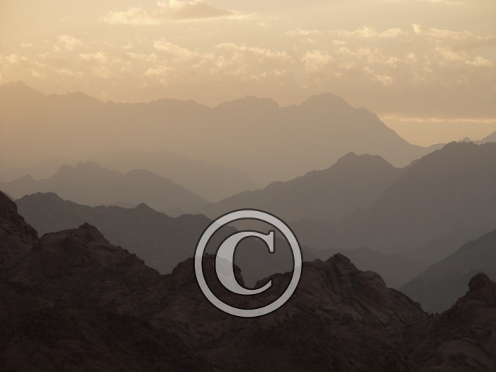 P6010185-Copier-