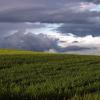 P7104740-Copier-_1421106209