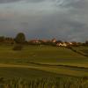 P7104744-Copier-
