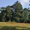_DSC0065-Copier-