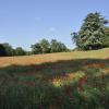 _DSC0066-Copier-
