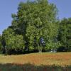 _DSC0067-Copier-