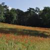_DSC0071-Copier-
