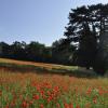 _DSC0078-Copier-