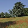_DSC0079-Copier-