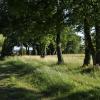 _DSC0082-Copier-