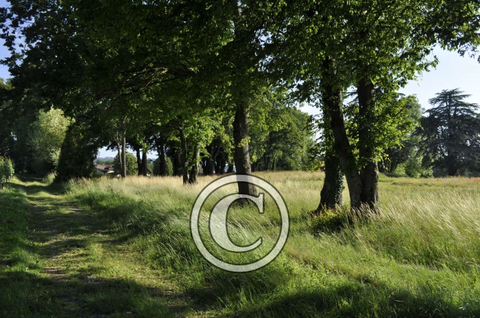_DSC0082-Copier-