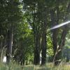_DSC0084-Copier-