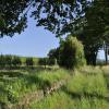 _DSC0085-Copier-