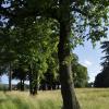 _DSC0086-Copier-