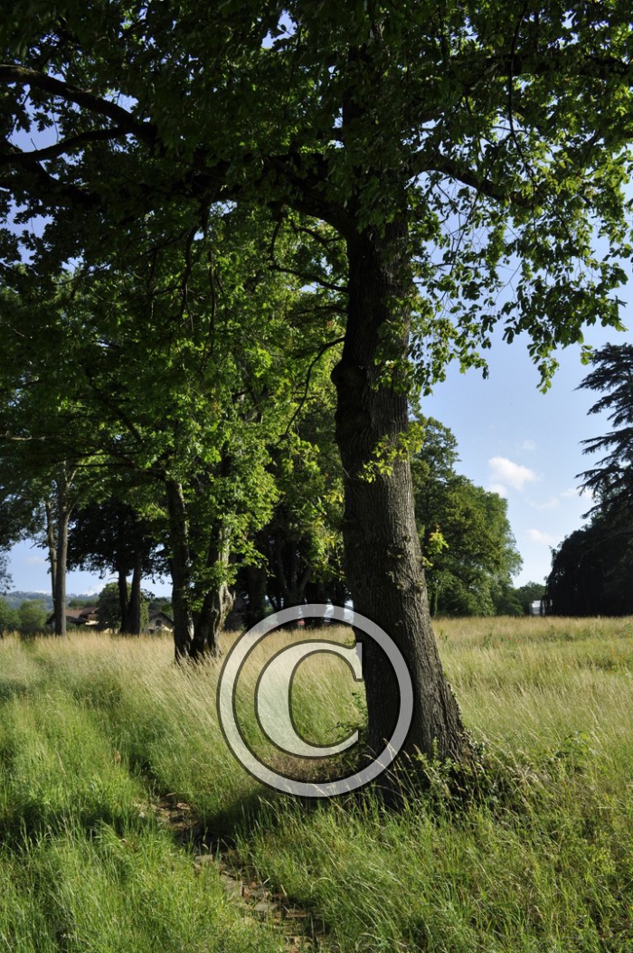 _DSC0086-Copier-