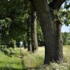 _DSC0089-Copier-