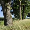 _DSC0091-Copier-