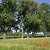 _DSC0094-Copier-