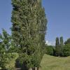 _DSC0102-Copier-