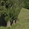 _DSC0103-Copier-