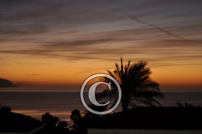 _DSC0127-Copier-