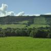 _DSC0177-Copier-