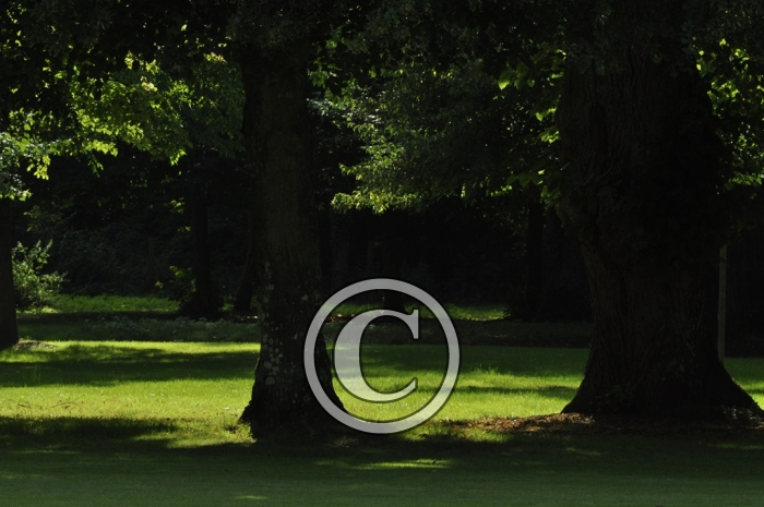 _DSC3097-Copier-