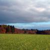 nature000-Copier-