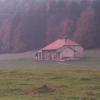 paysage-Copier-