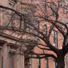 DJP_3297-Copier-
