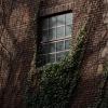 DJP_3342-Copier-