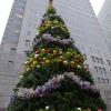 DJP_3396-Copier-