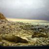 P1060703-Copier-