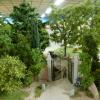 P1000168-Copier-