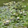 _DSC2942-Copier-