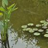 _DSC2943-Copier-