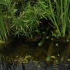 _DSC2961-Copier-