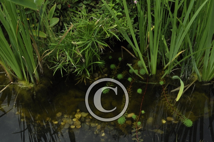 _DSC2961-Copier-