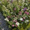 Parcs-et-jardins