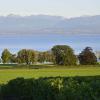_DSC1459 (Copier)