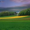 crepusculenature