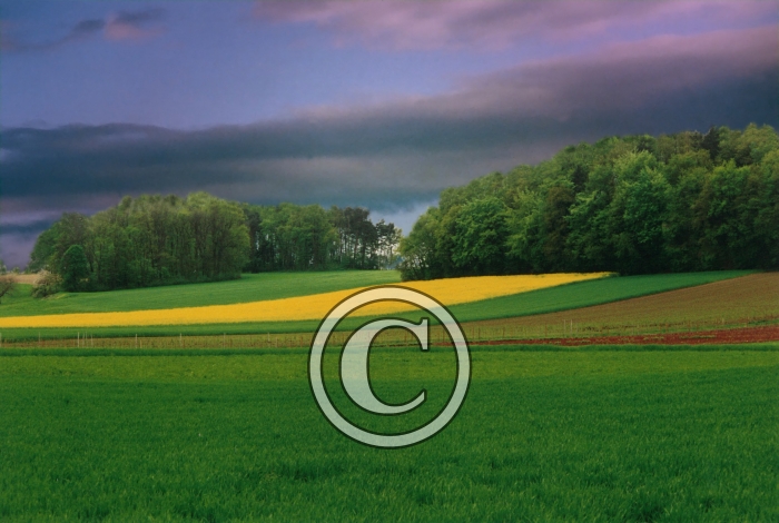 crepusculenature