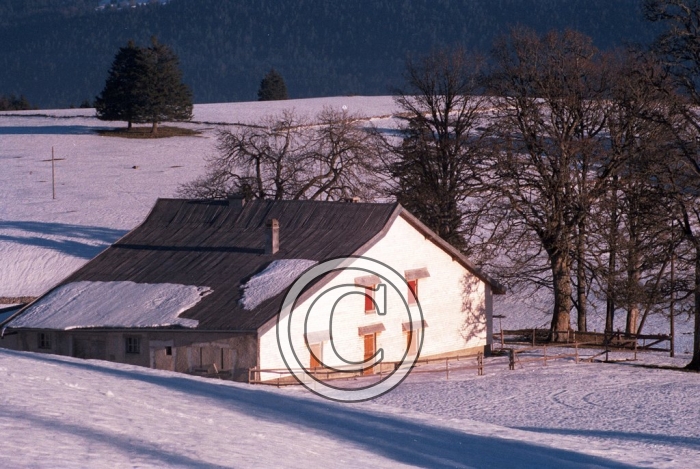 joux light