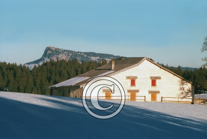 joux3 light