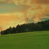 lisieredeforet