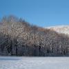 neige light