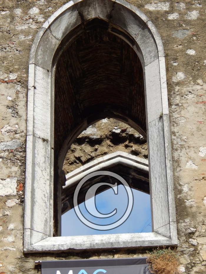 DSCN2523-Copier-