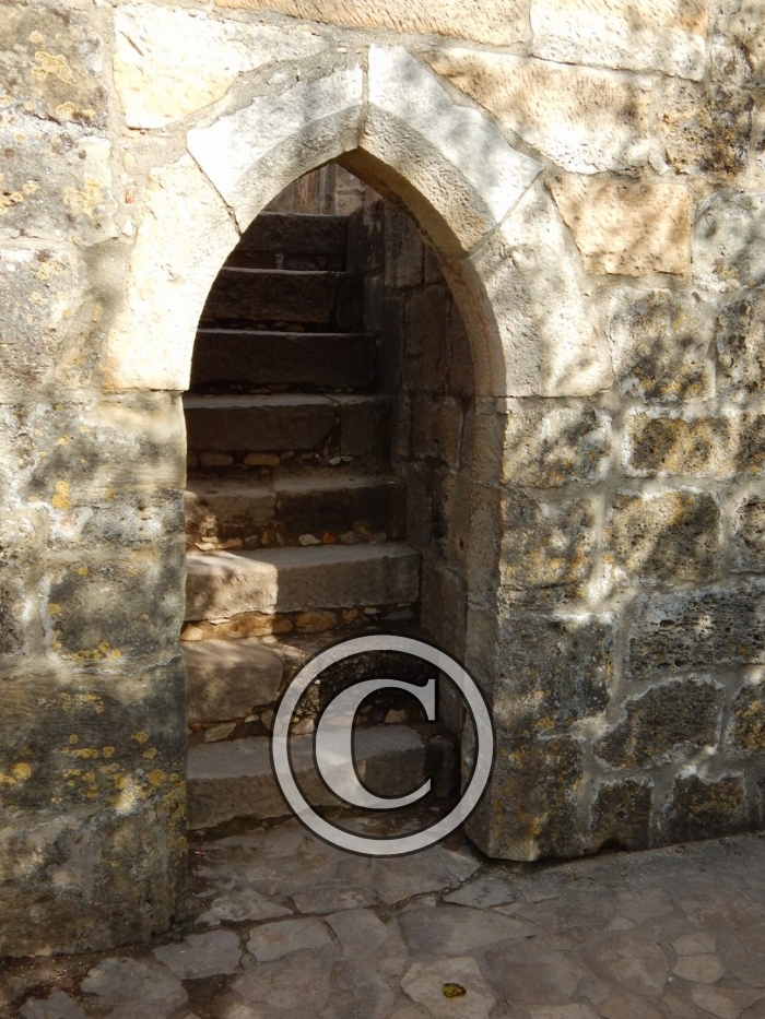 DSCN2706-Copier-
