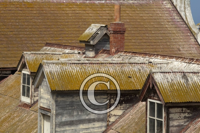 DSC_0240-Copier-