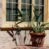 TERRASS-Copier-