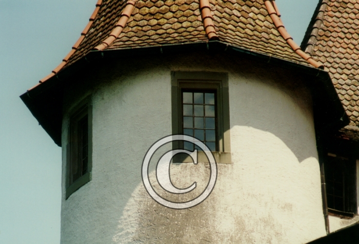 tour2-Copier-