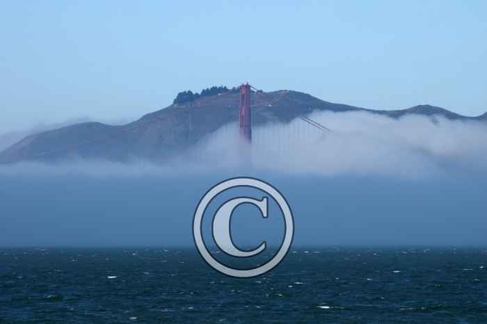 DSC_0185-Copier-