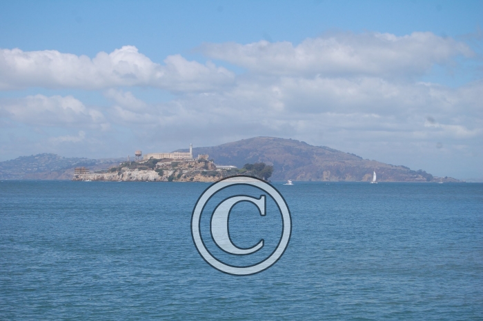 DSC_0358-Copier-